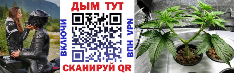 Что такое Темников ГАШИШ Конопля СОЛЬ АМФ Меф мяу мяу