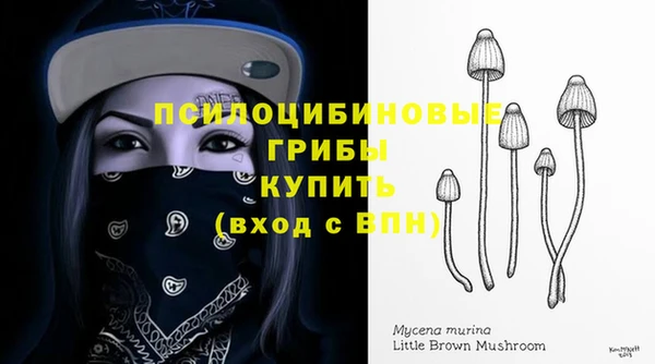 кокс Абаза