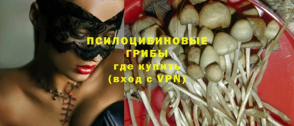 тгк Абдулино