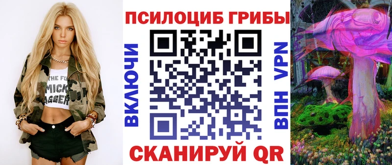 Галлюциногенные грибы прущие грибы  что такое   Темников 